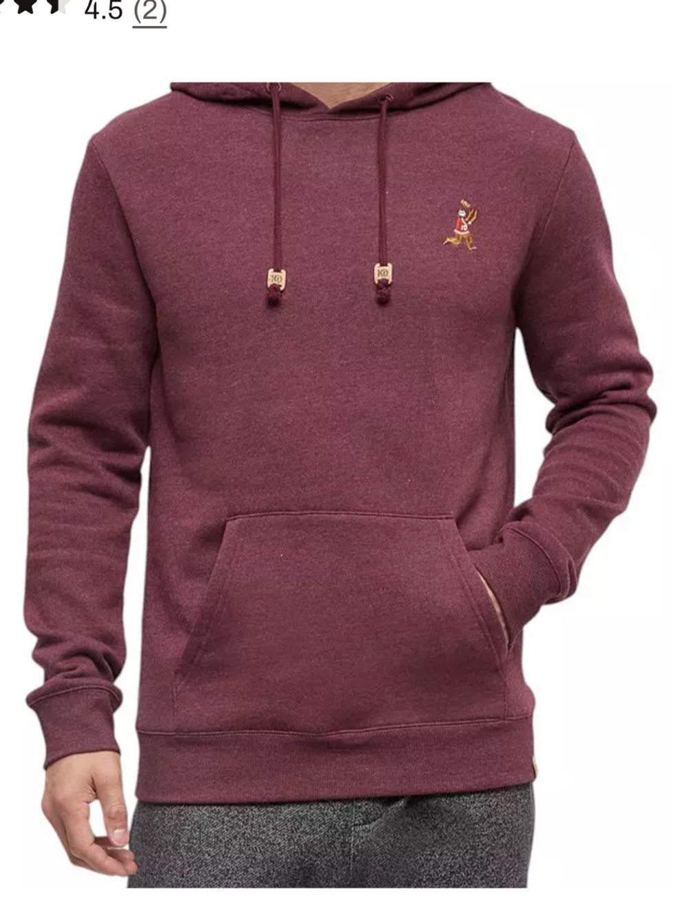 tentree Men's Sasquatch Hoodie